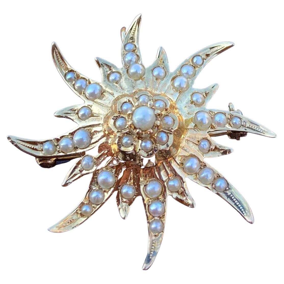 Victorian 14 Karat Gold Seed Pearl Pendant/Brooch