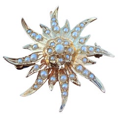 Victorian 14 Karat Gold Seed Pearl Pendant/Brooch