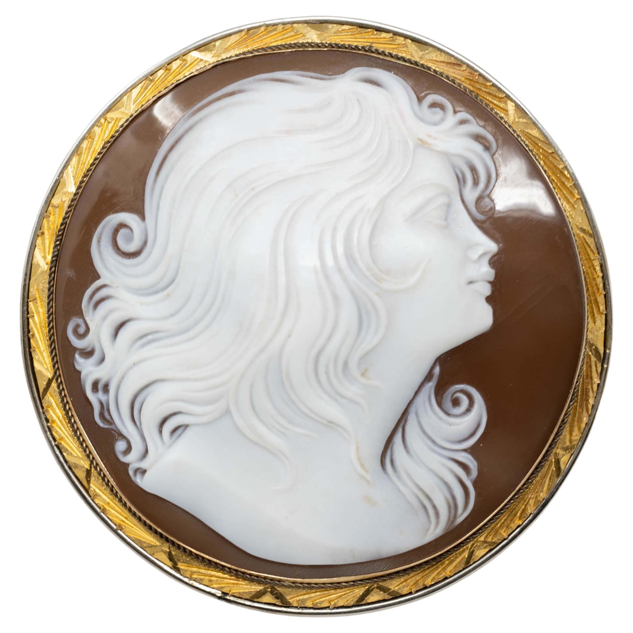 Victorian 14k Gold Carved Cameo Brooch Pendant For Sale