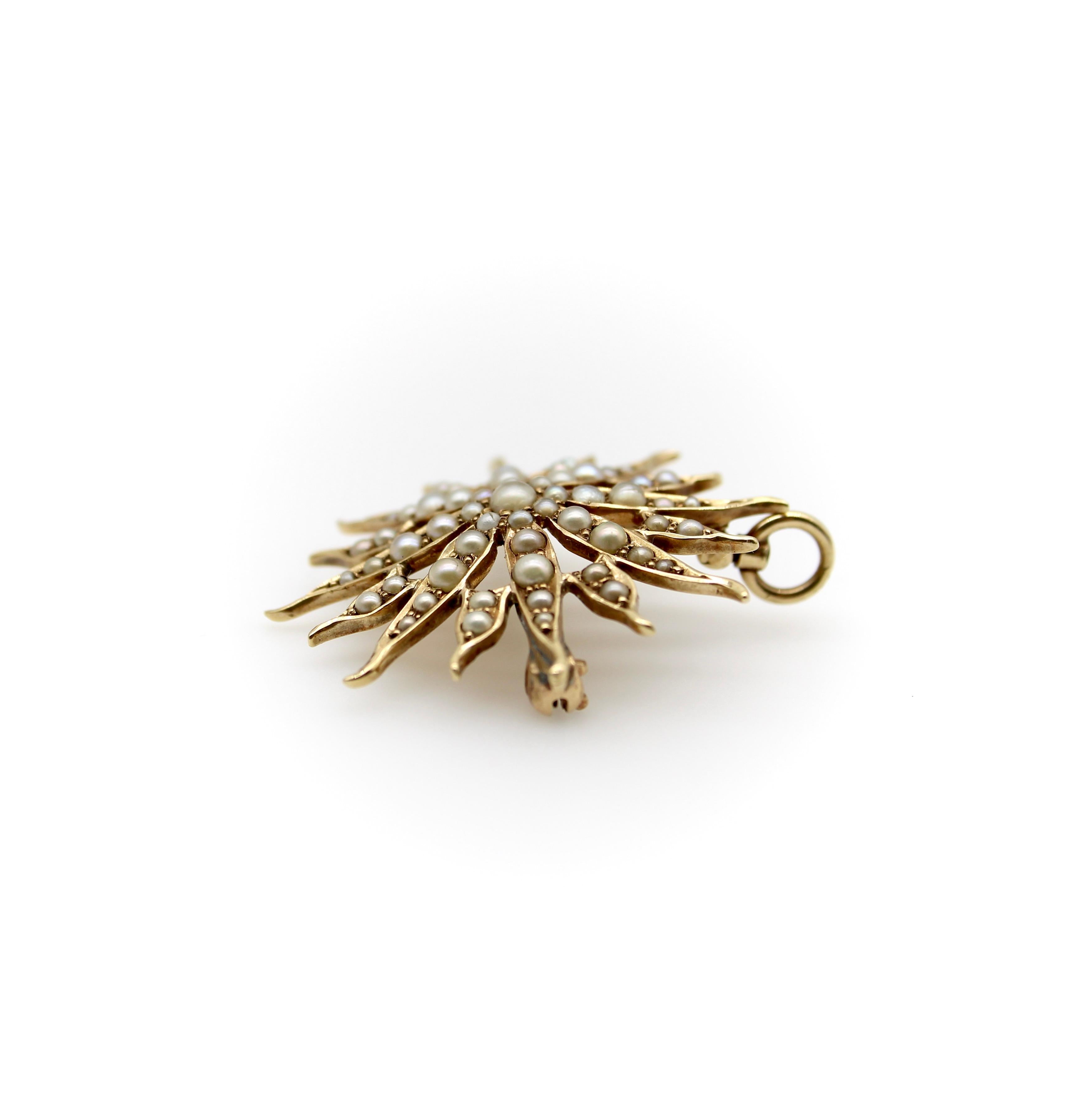 Spilla con ciondolo a forma di stella in oro 14K e perle, tardo vittoriana, 1890 circa

Una splendida spilla-pendente a forma di stella con tante piccole perle di varie dimensioni. Una serie di piccole perle sono state incastonate in tutti i bracci