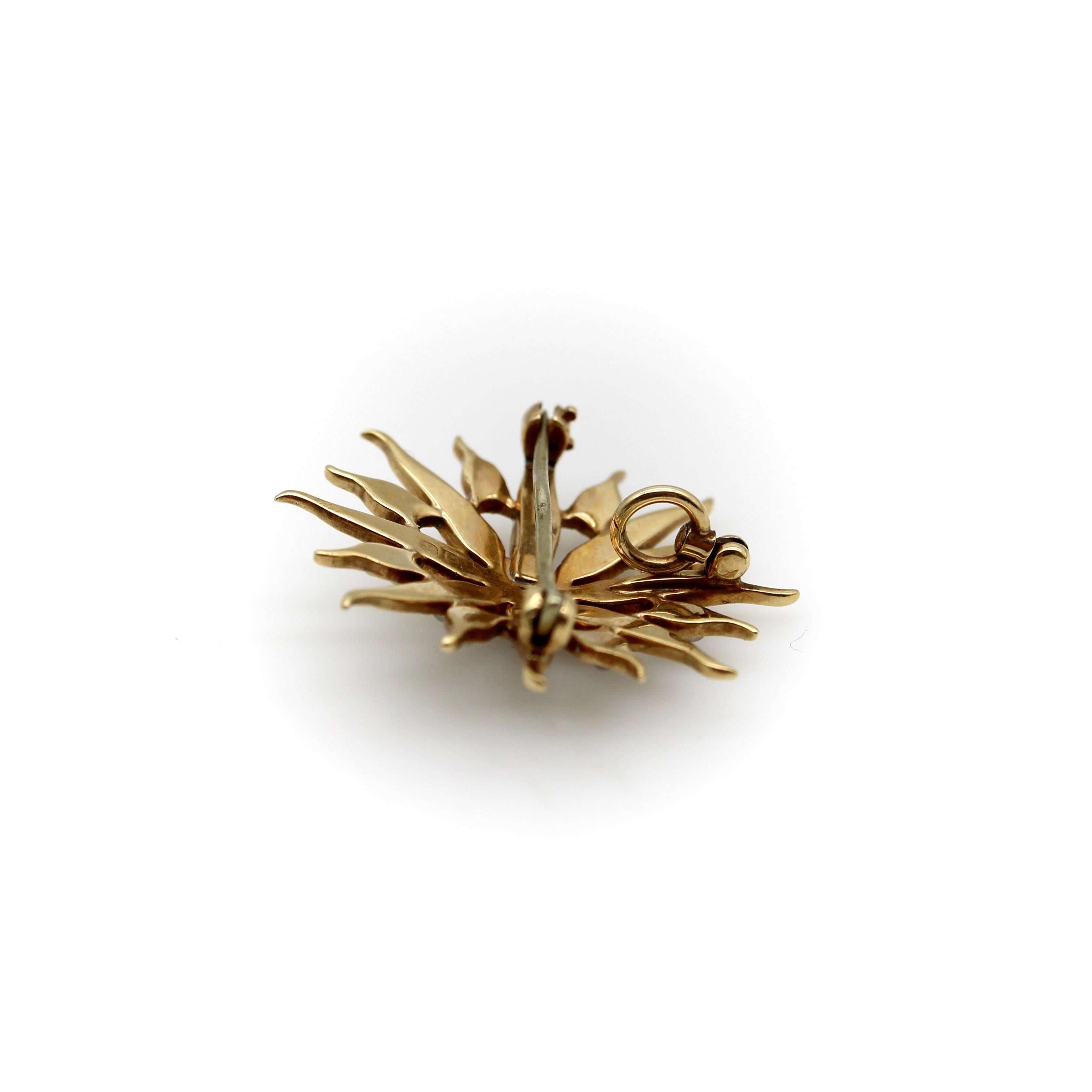Grezzo Spilla vittoriana con ciondolo a forma di stella in oro 14K e perle, 1890 circa in vendita