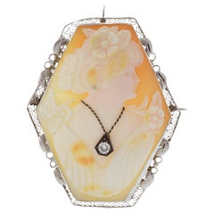 Brooches
