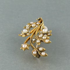 Victorian 14k Yellow Gold Pearl Branch Brooch, Netherlands, Circa 1880