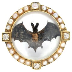 Vintage Victorian 14kt Reverse Carved Essex Crystal Bat Pin