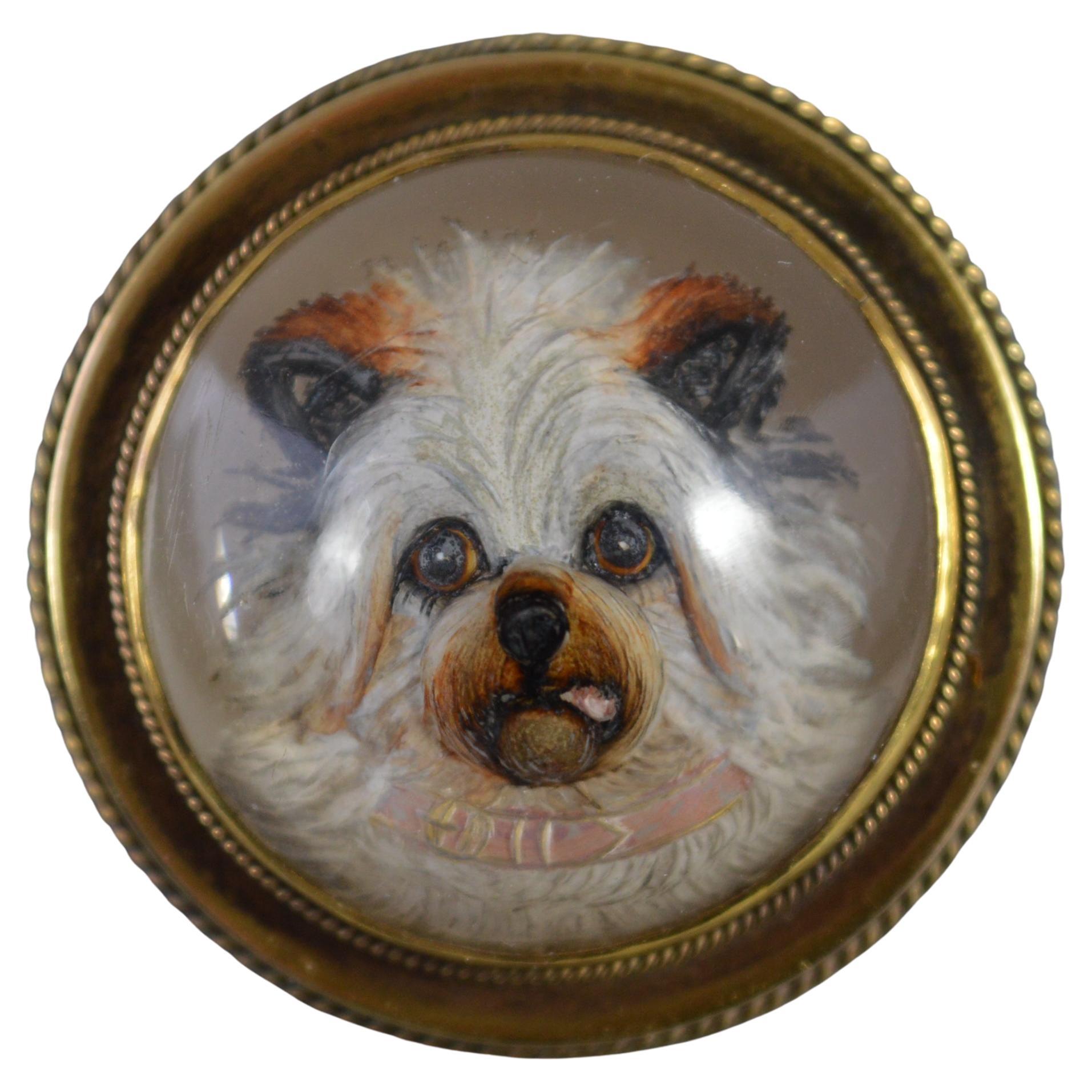 Viktorianische Hundeporträtbrosche aus 15 Karat Gold und Essex-Kristall mit umgekehrtem Intaglio um 1860