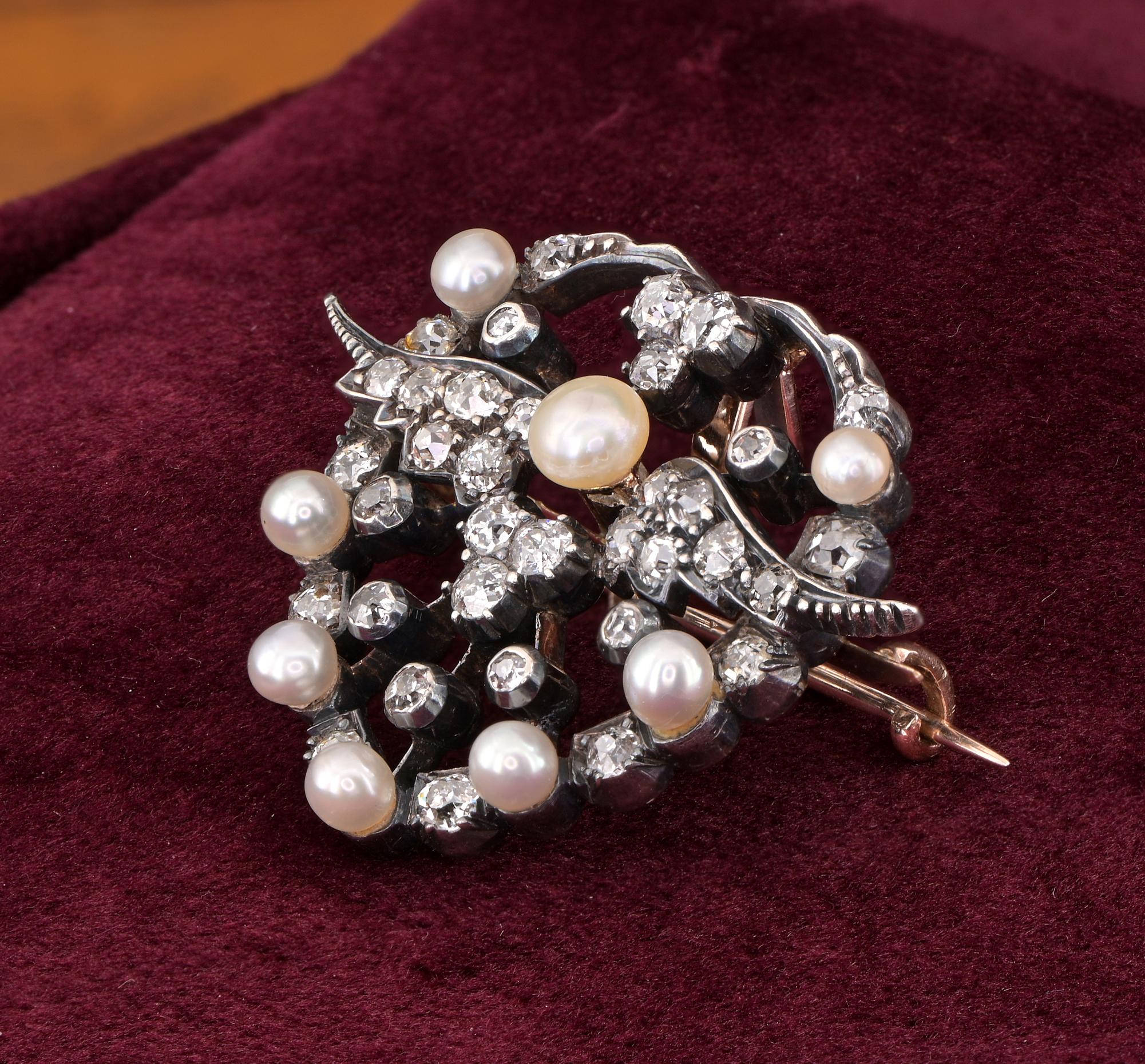 Broche/Pendentif Victorien 1.80 CT Diamond Natural Pearls Winged Heart (Coeur ailé) en vente 5