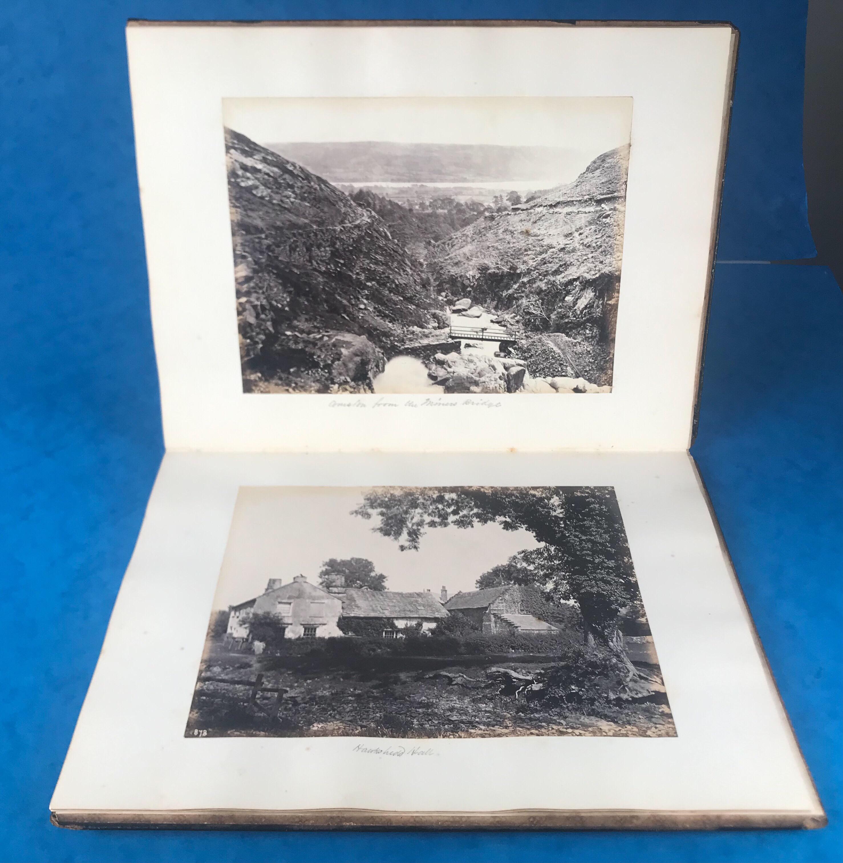 Victorian 1860  Beautifully Hand Painted Papier-mâché Photo Album For Sale 6