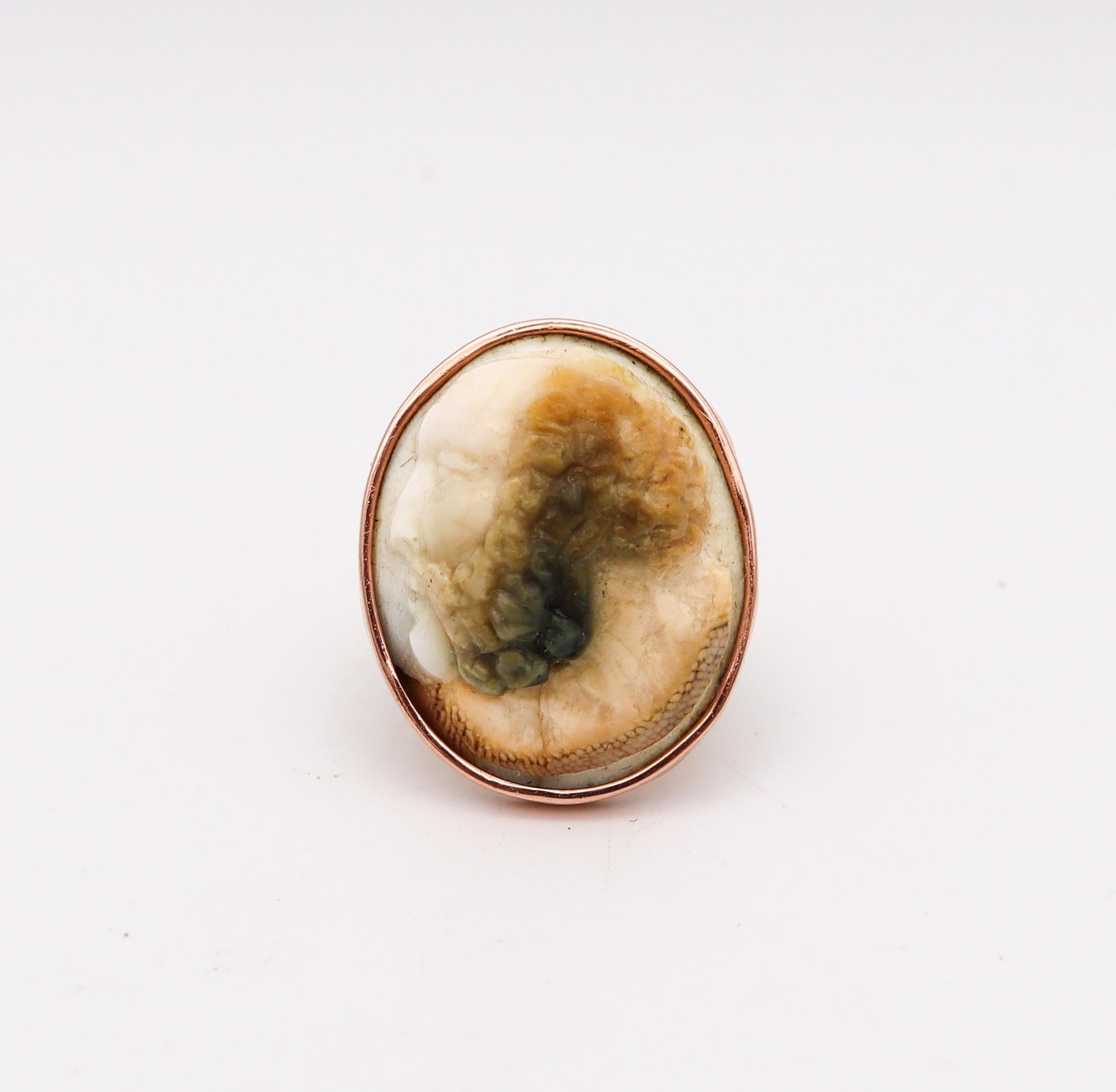 Victorian ring with carved operculum shell

An extremely rare piece, created in England during the high Victorian era (1837-1901), back in the 1870. This is a very unusual memento carved cameo ring, carefully crafted with an oval shape in solid