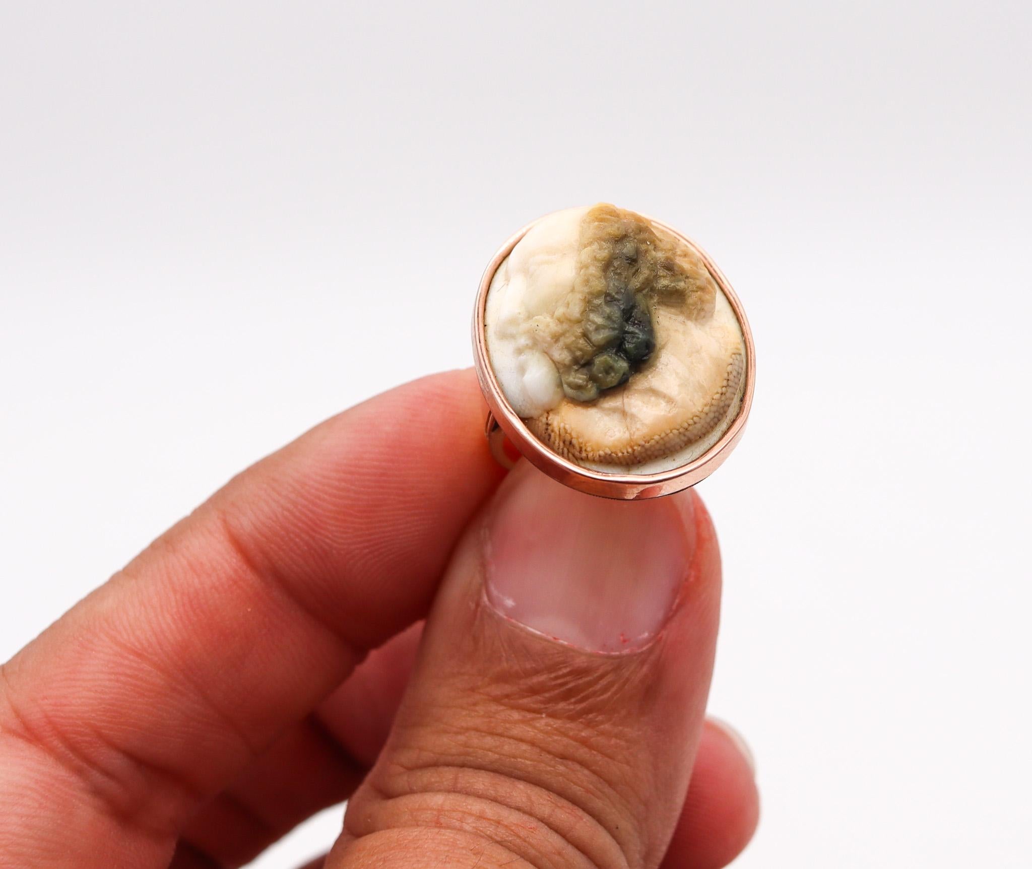 Cabochon Victorian 1870 Operculum Carved Shell Memento Ring In 14Kt Yellow And Rose Gold For Sale