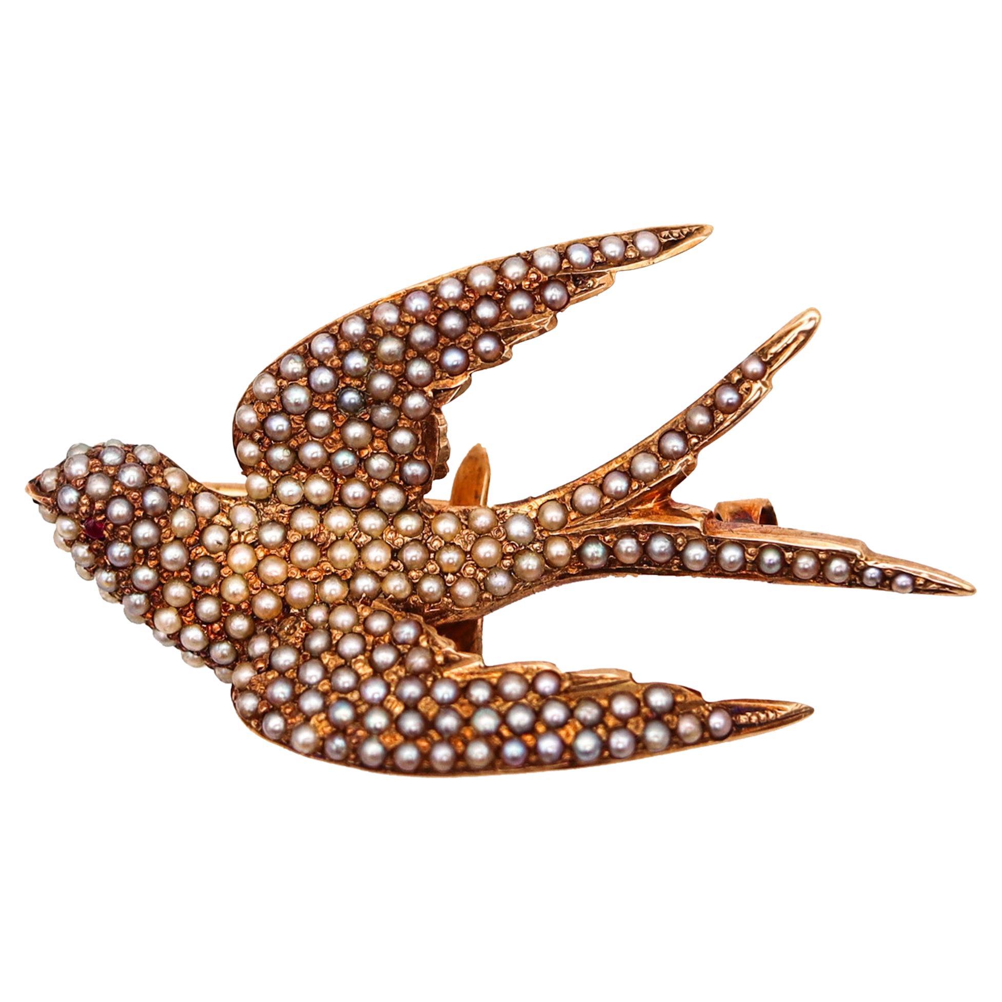 Victorian 1880 Flying Dove Brooch In 14Kt Yellow Gold With White Pearls And Ruby