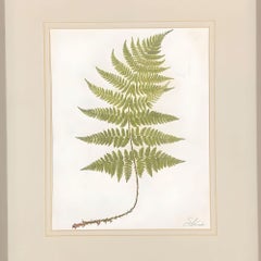 Victorian 1885 English Chromolithograph Fern Pair, Framed
