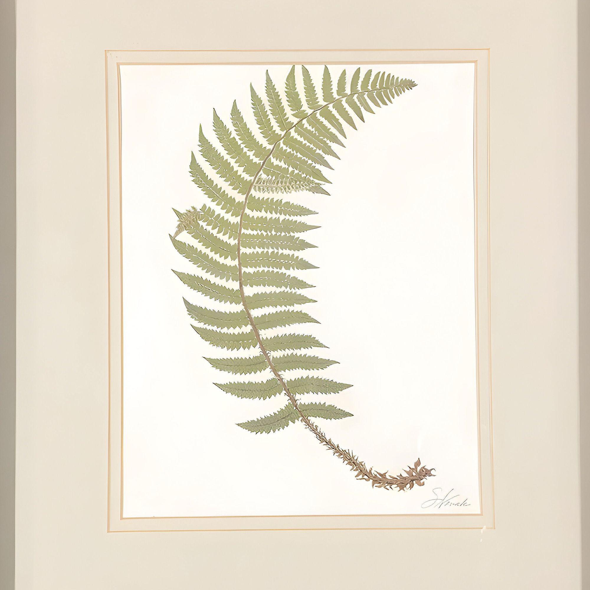 Paar viktorianische englische Chromolithographie Fern, 1885, gerahmt (Englisch) im Angebot