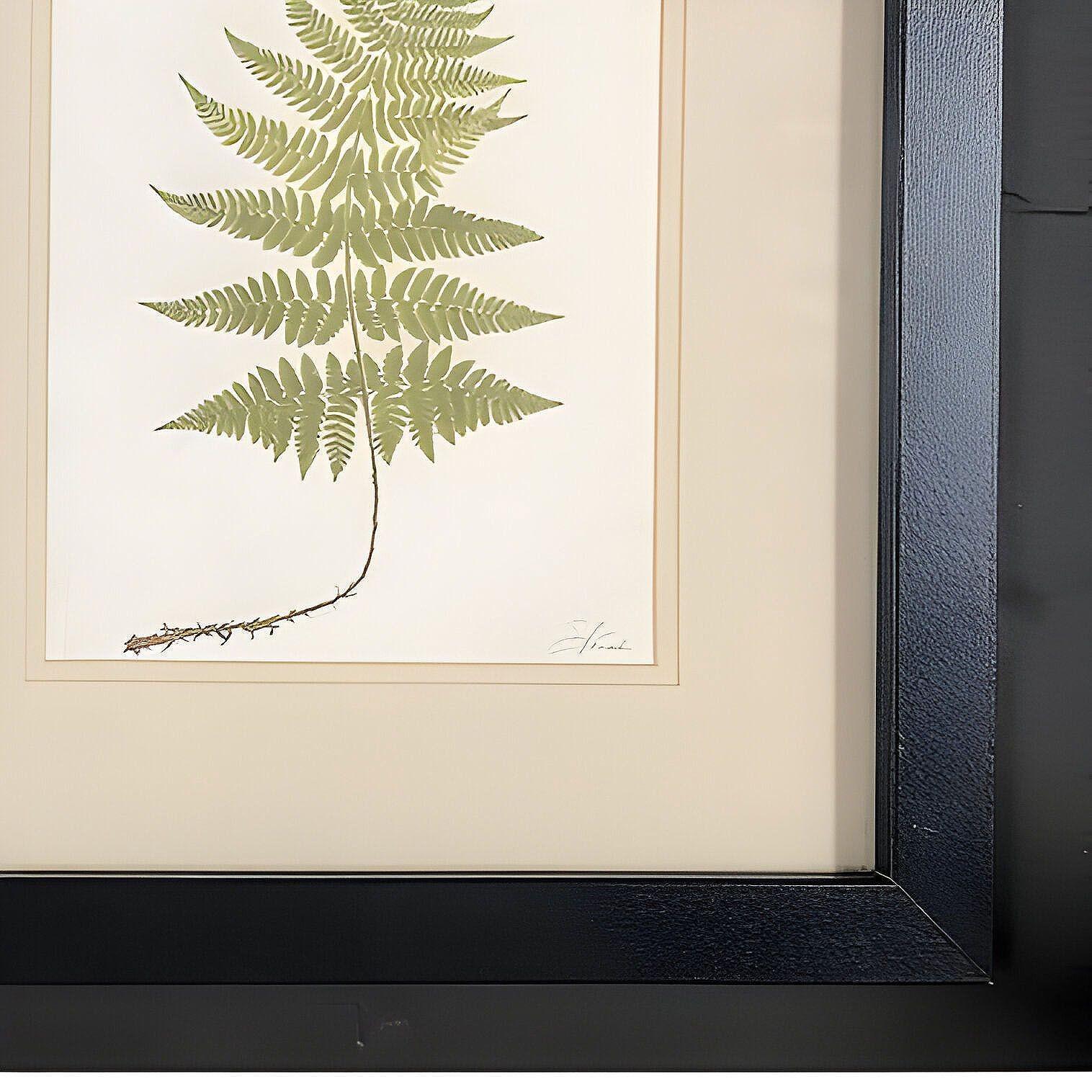 Paar viktorianische englische Chromolithographie Fern, 1885, gerahmt im Zustand „Hervorragend“ im Angebot in Van Nuys, CA