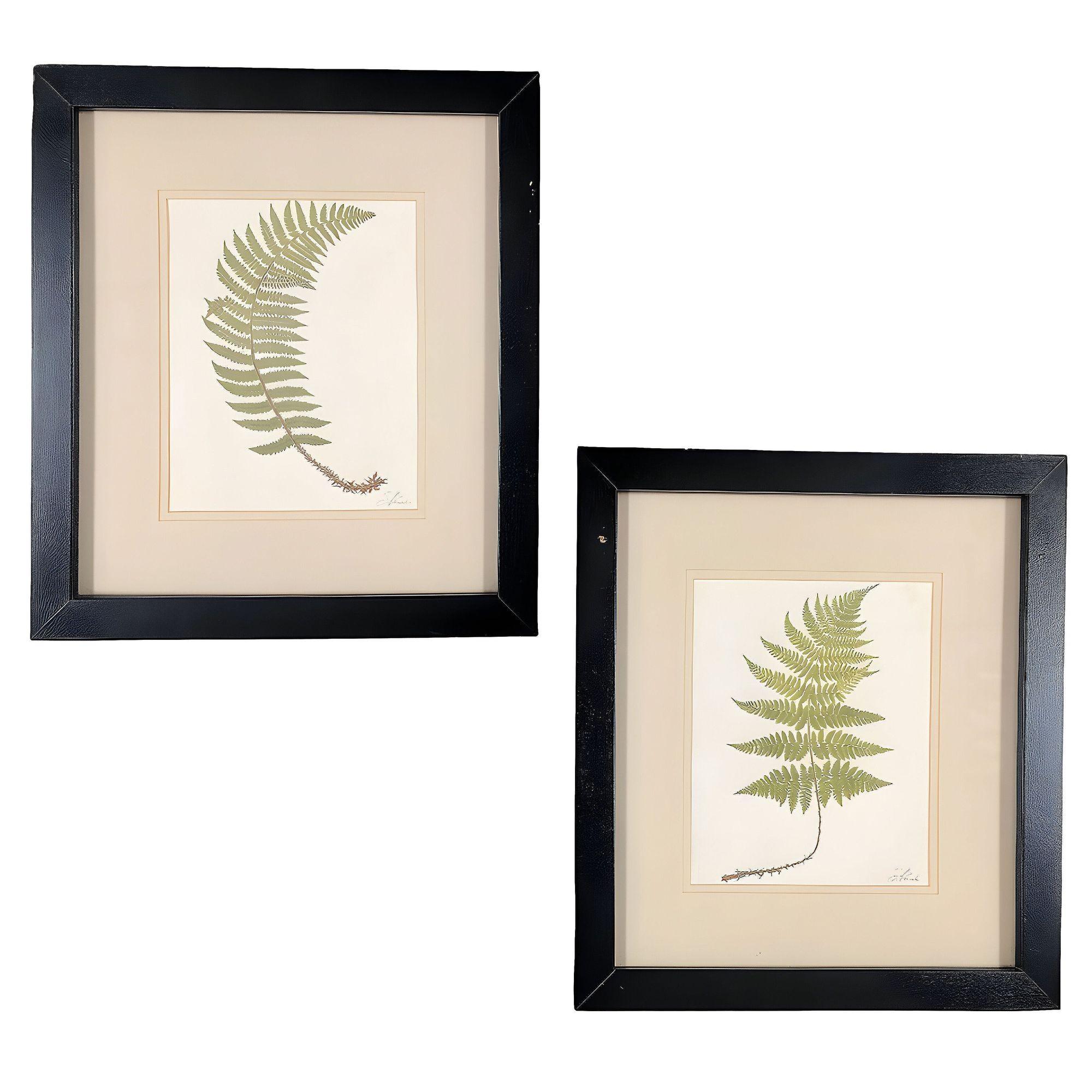 Paar viktorianische englische Chromolithographie Fern, 1885, gerahmt