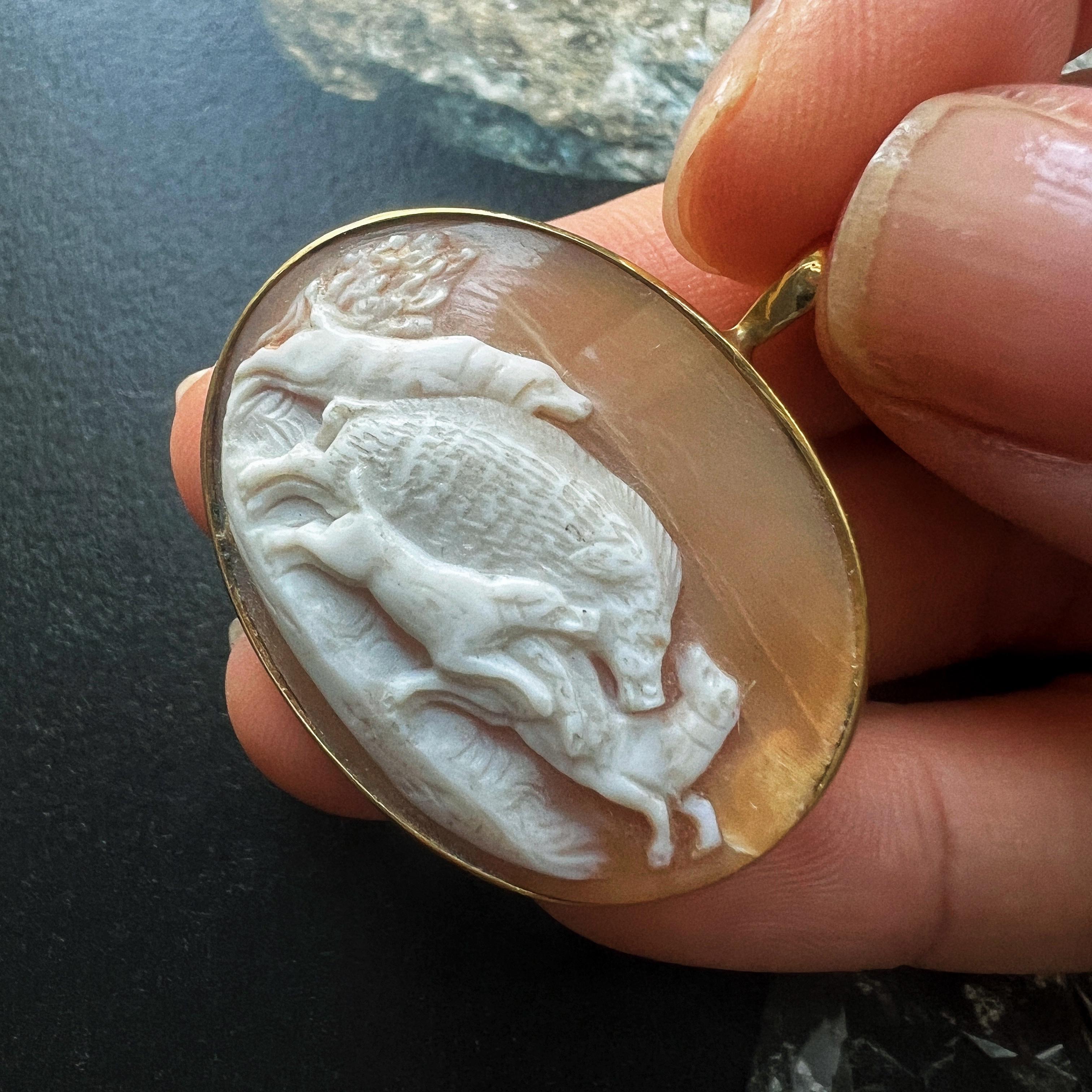For sale a rare shell cameo, featuring three dogs chasing a wild boar. The cameo is beautifully mounted in 18K yellow gold and it is made during the 19th century, the Victorian era.

Contrary to most of the antique cameos which showcase a