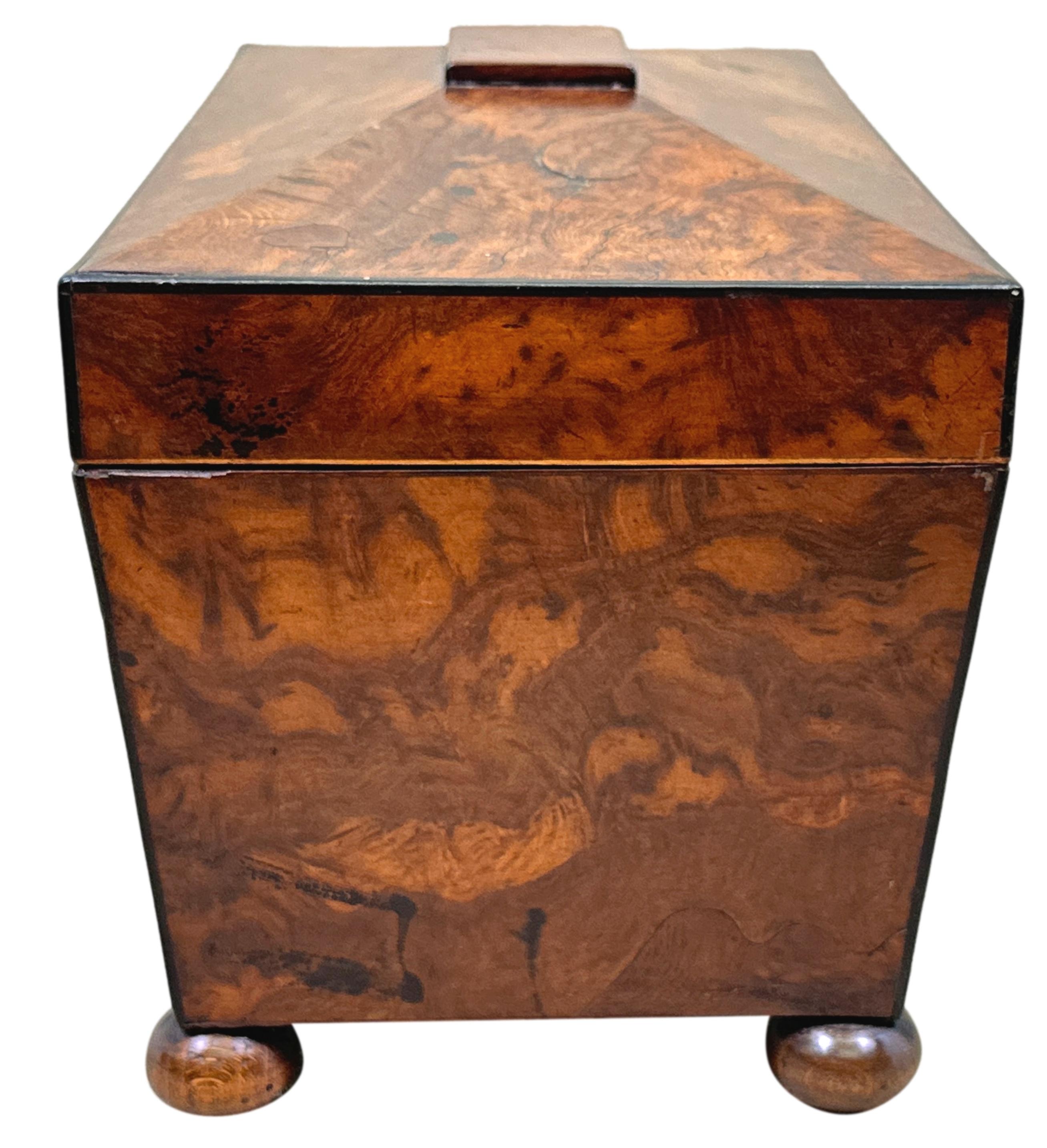 Victorian 19th Century Large Yew Tea Caddy For Sale 1