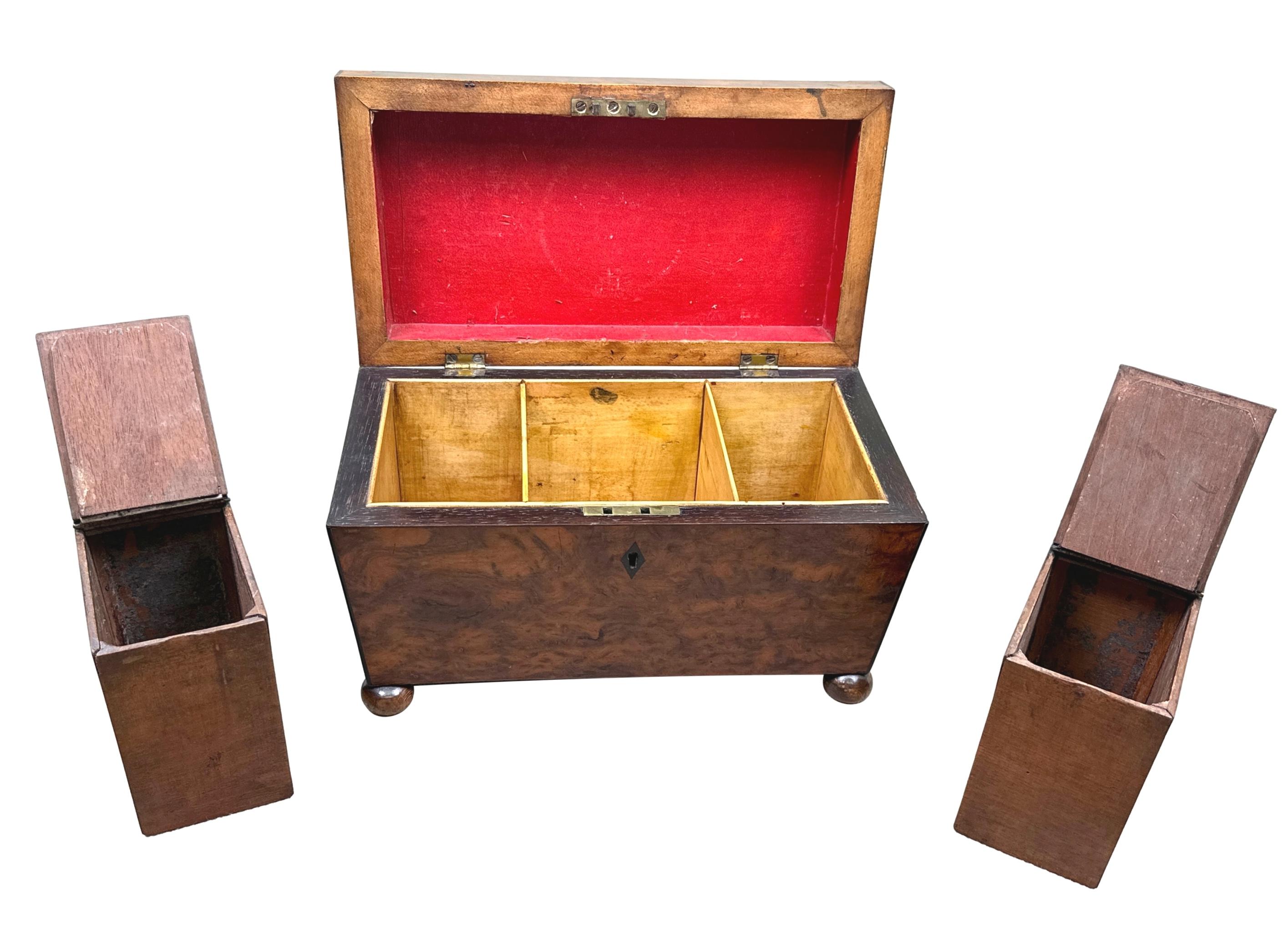 Victorian 19th Century Large Yew Tea Caddy For Sale 3