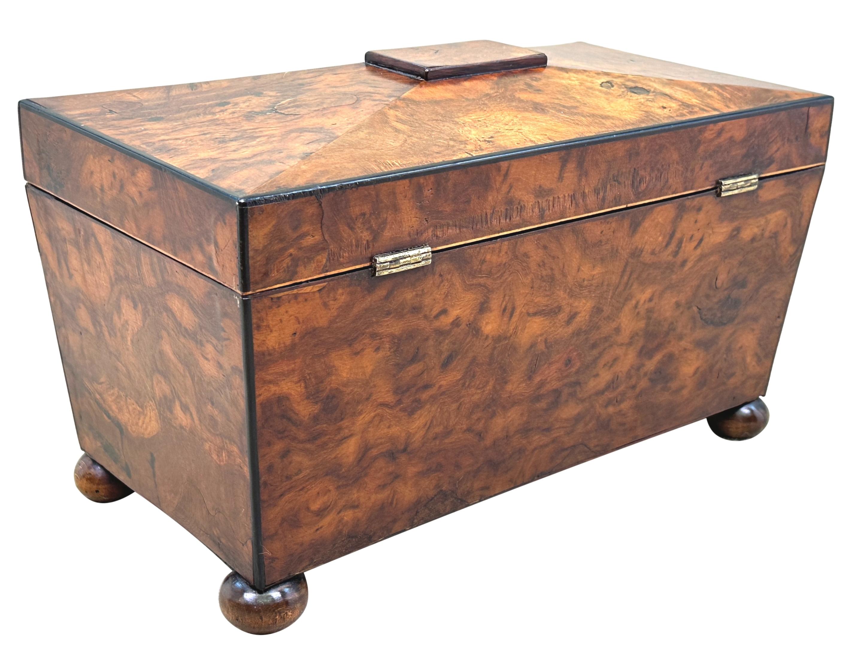 Victorian 19th Century Large Yew Tea Caddy For Sale 4