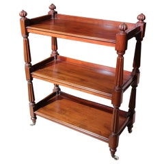 Victorian 19th Century Mahogany Étagère