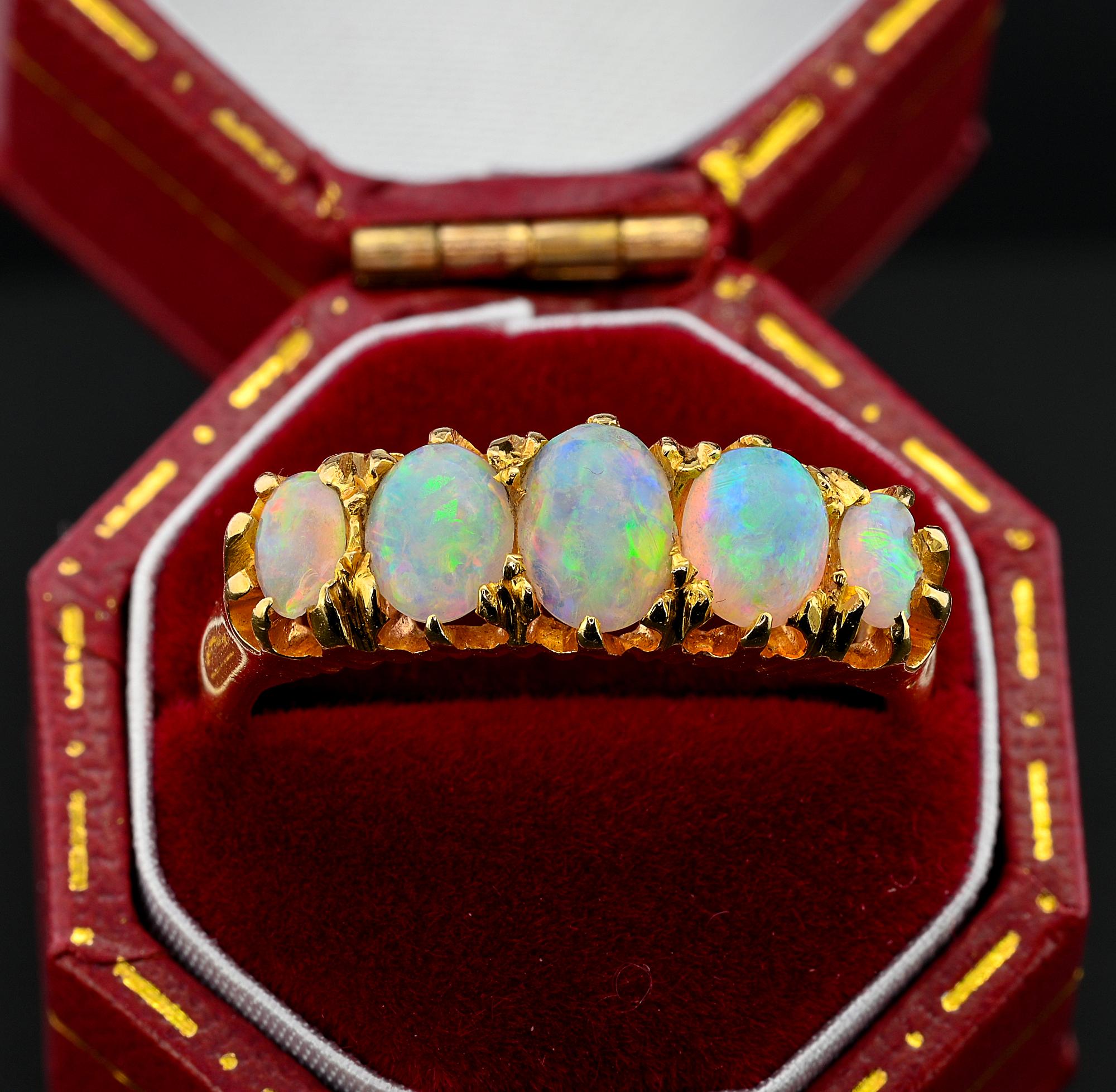This beautiful Victorian period ring has been hand crafted of solid 18 Kt gold, English origin
The lovely claw mount showcases a selection of slightly graduated oval Opals estimate 2.0 full carats – they display a rich colour spectrum firey blue ,