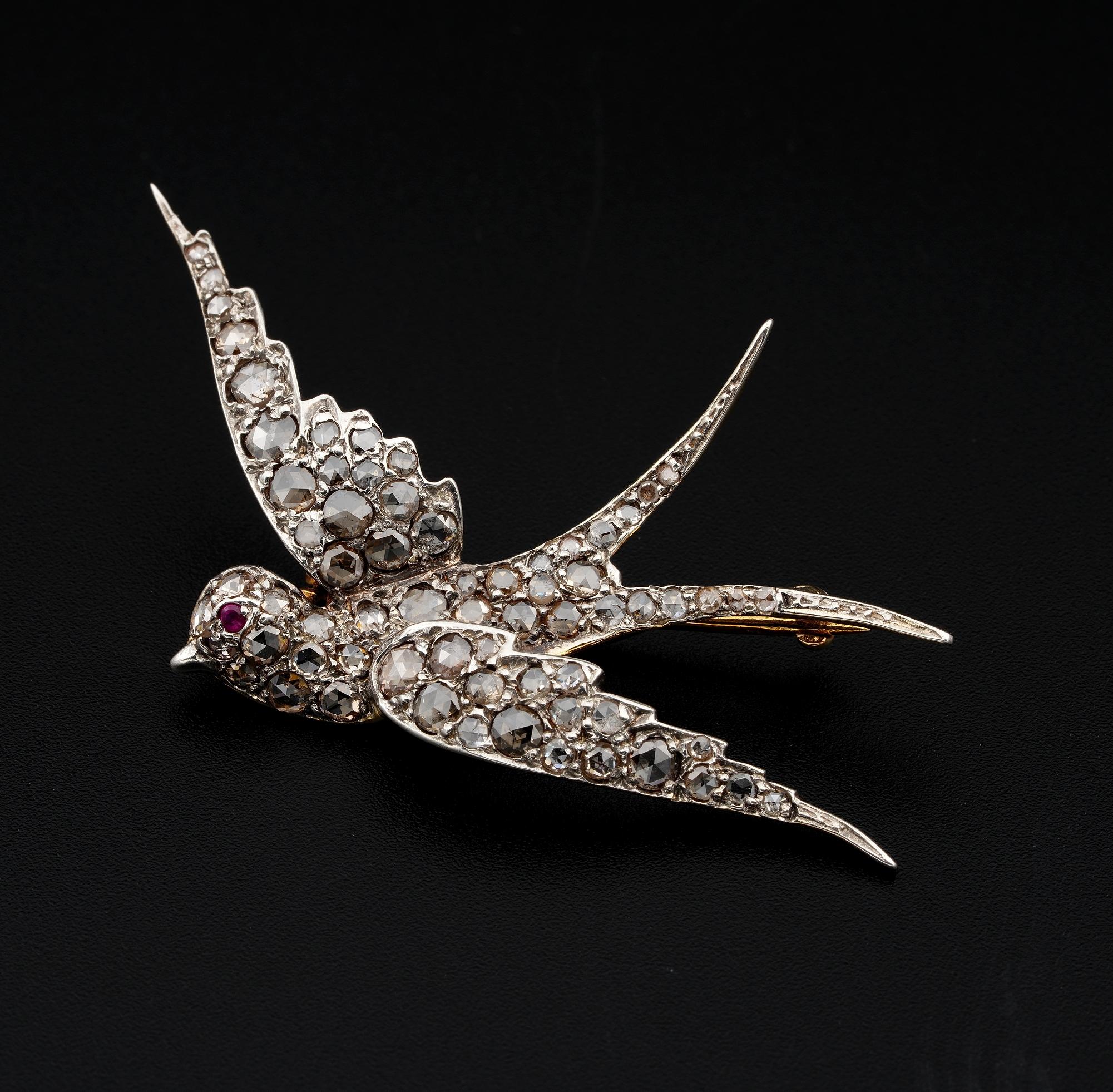 Flying Swallow
This graceful Victorian Swallow brooch is 1870 ca
Depicted with wings spread in flight, epitome of grace and beauty
Expertly rendered by the Victorian masters of solid 18 Kt gold silver topped
It is completely highlighted by rose cut