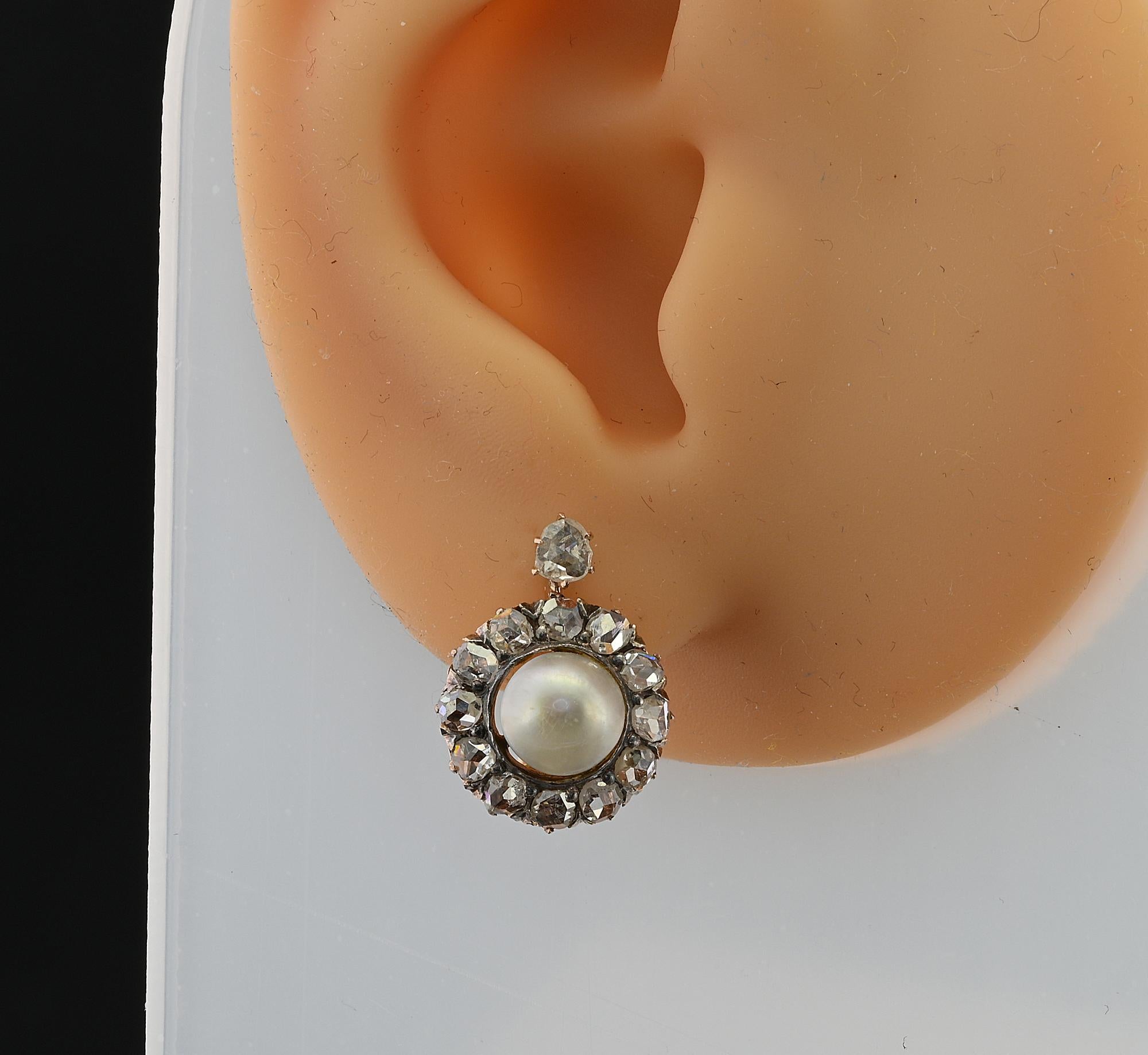 Victorian 6.6 mm. Natural Pearl Rose Cut Diamond Cluster Earrings 18 KT For Sale 3