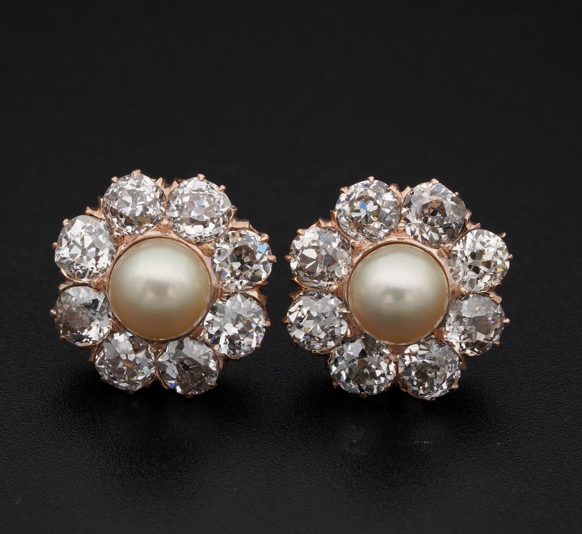 Viktorianisch 7 mm. Perlen-Ohrringe mit 4,80 Diamanten (Alteuropäischer Schliff) im Angebot