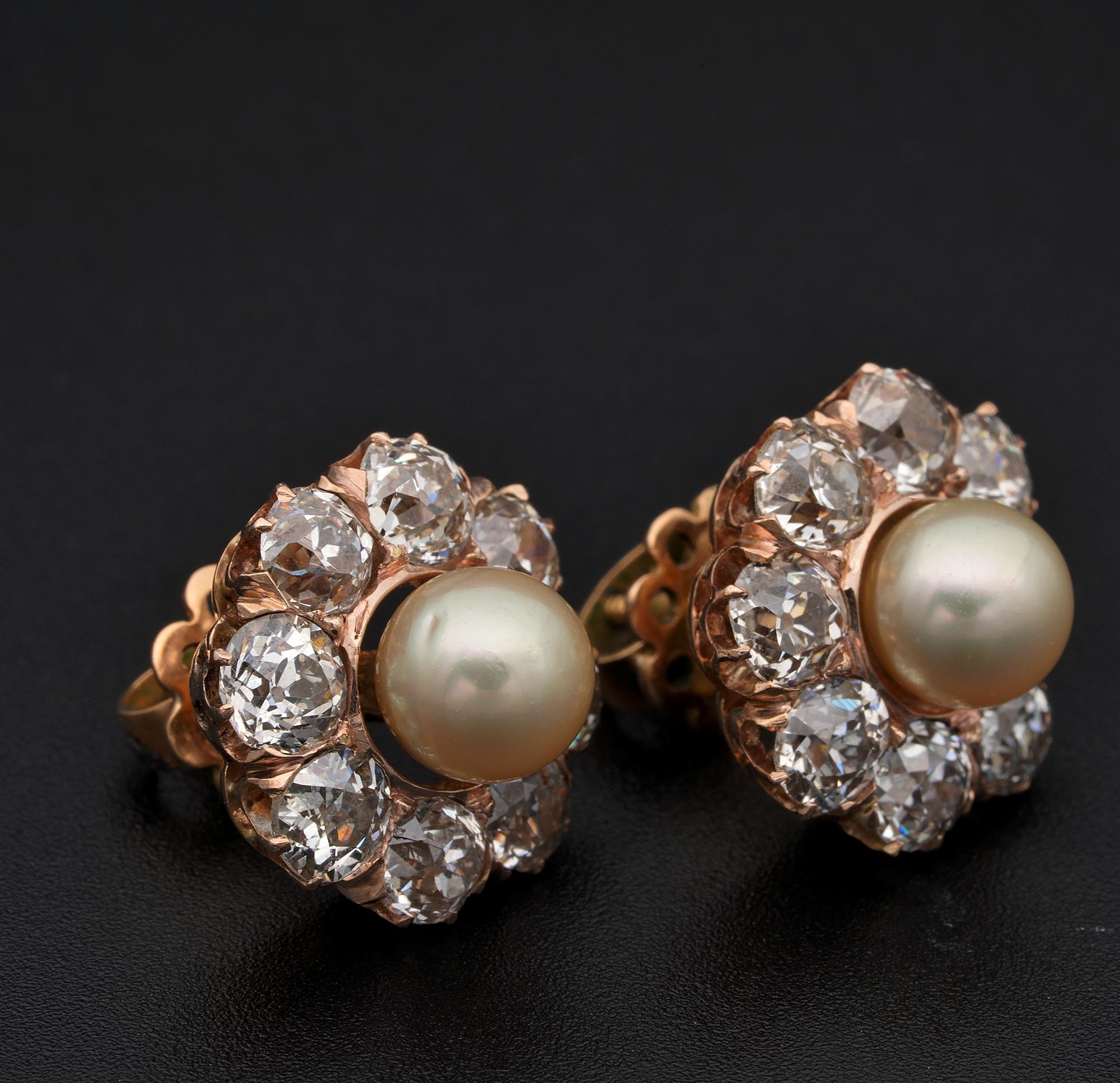 Viktorianisch 7 mm. Perlen-Ohrringe mit 4,80 Diamanten Damen im Angebot