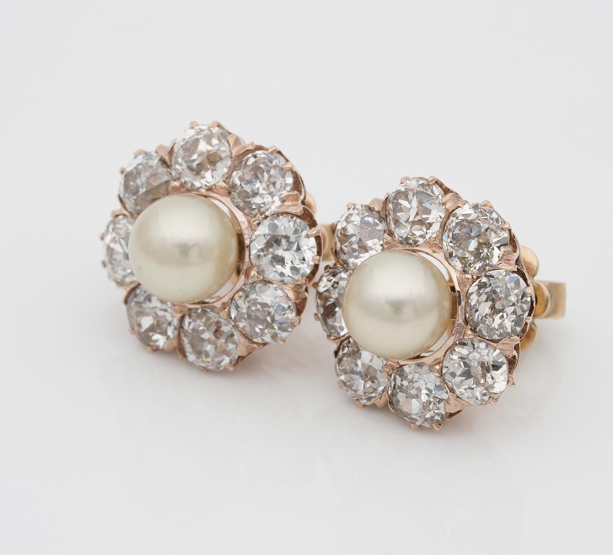 Victorian 7 mm. Pearl 4.80 Diamond Earrings For Sale 1