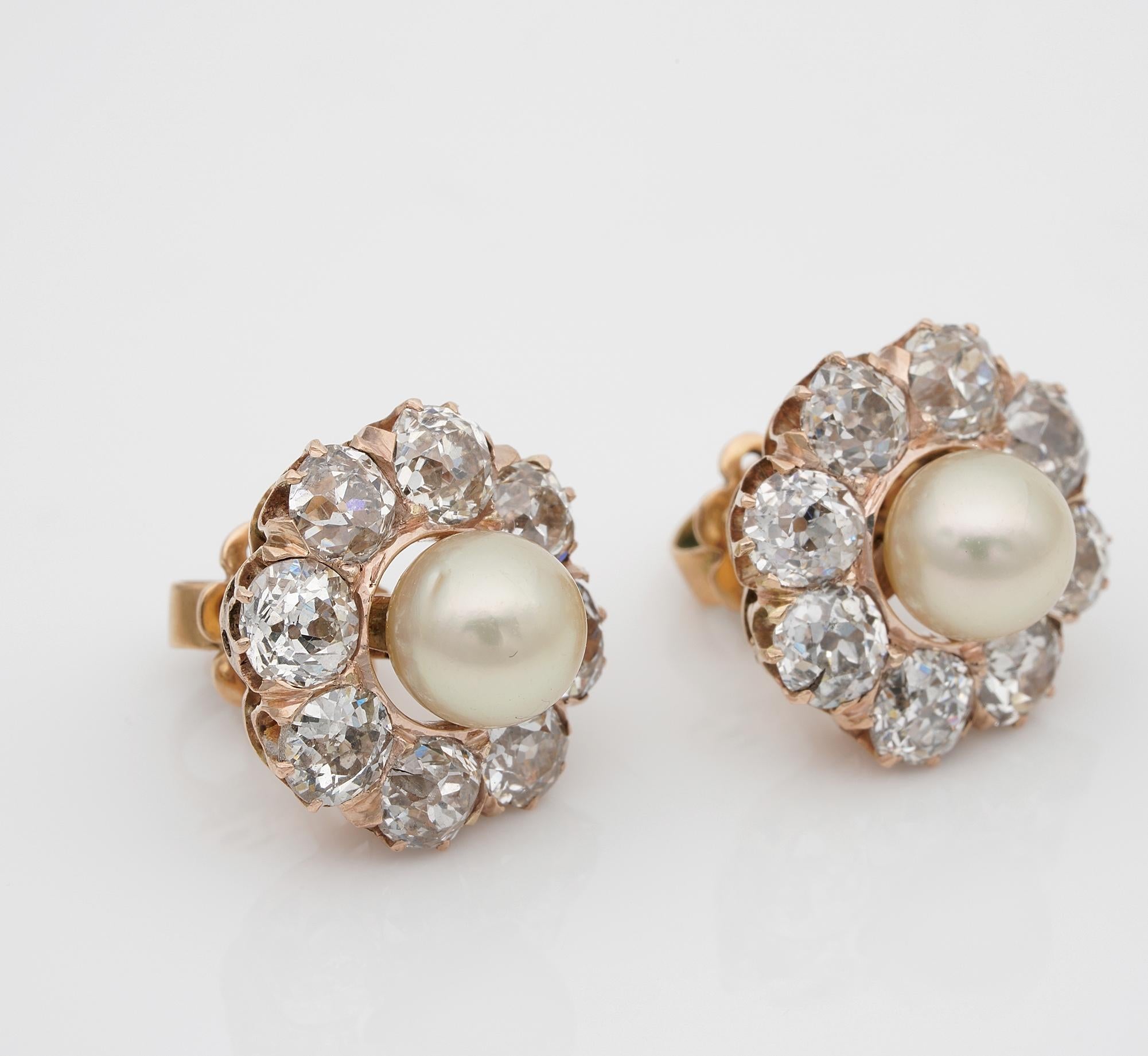 Old European Cut Victorian Natural Pearl 4.80 Carat Old Cut Diamond Earrings For Sale