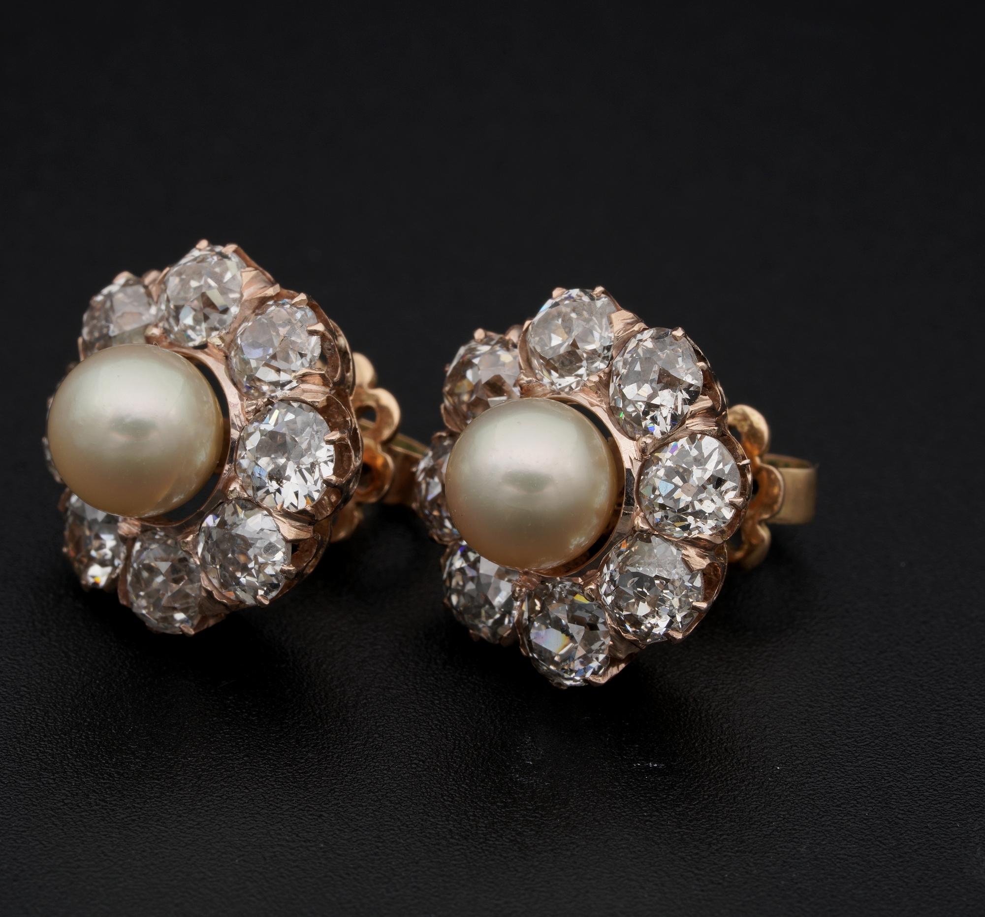 Victorian Natural Pearl 4.80 Carat Old Cut Diamond Earrings For Sale 1