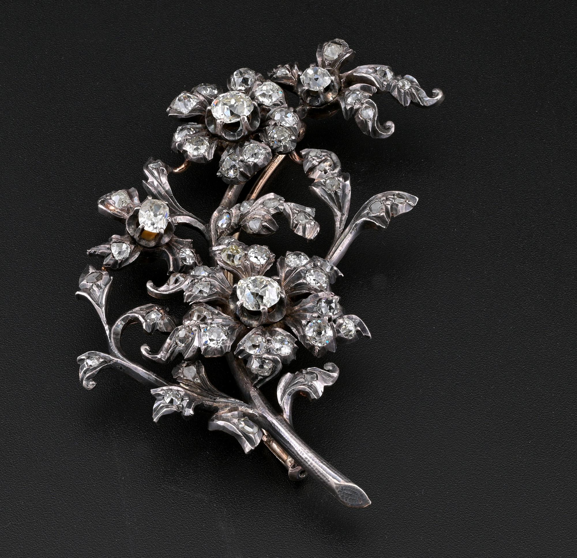 Notable Victorian period Diamond spray brooch made of silver over 15 Kt gold - 1860 ca
Designed  as a beautiful flower & leaf spray richly set with a selection of old Diamonds totalling 7.50 Ct
Diamonds consist in 2 old mine cut diamonds totalling