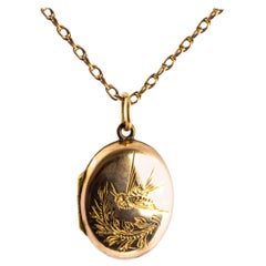 Victorian 9 Carat Gold Locket and Chain