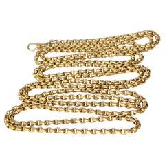 Victorian 9 Carat Gold Longuard Necklace