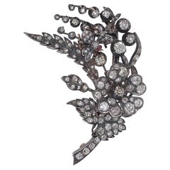 Brooches