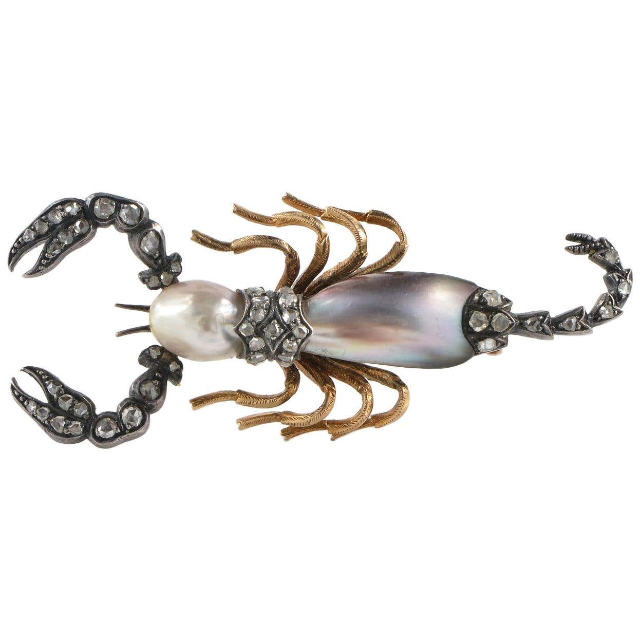 Victorian Abalone Natural Pearl Diamond Rare Scorpion Brooch For Sale ...