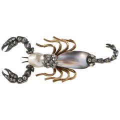 Victorian Abalone Natural Pearl Diamond Rare Scorpion Brooch