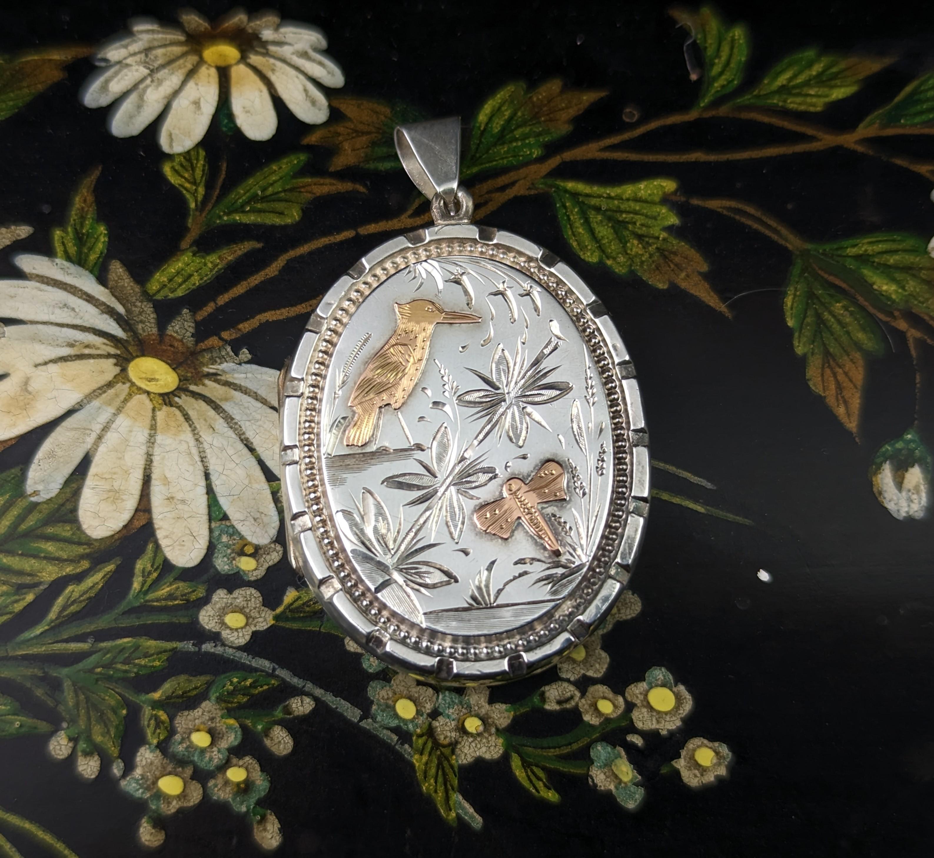 This antique, Victorian era Aesthetic silver locket is just beautiful!

This is an unusual example with a very pretty and detailed design, on one side it has an engraved image of a Kingfisher bird and a dragonfly by the water with applied 9kt