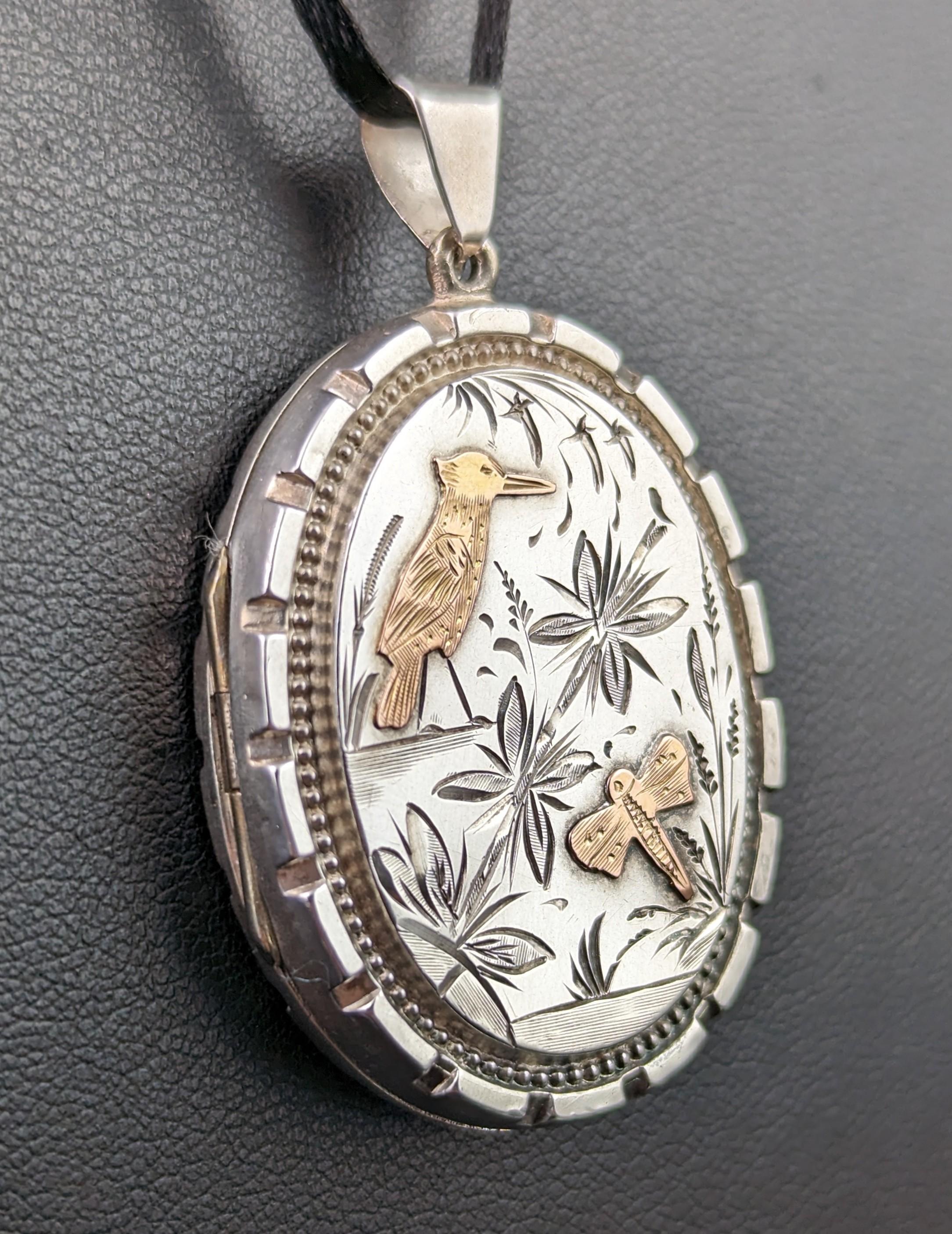 Victorian Aesthetic Era Locket, Sterling Silver and 9k Gold, Kingfisher In Fair Condition In NEWARK, GB