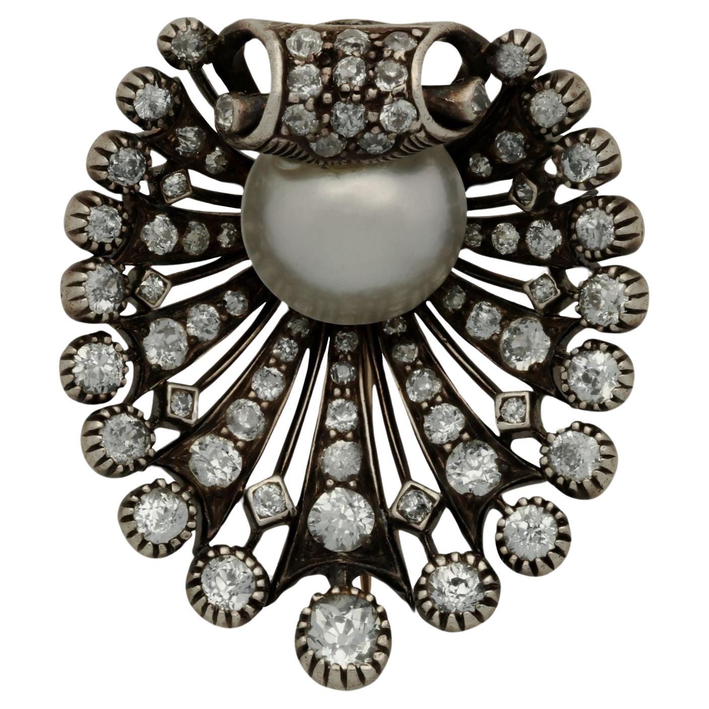 Victorian Antique Diamond And Natural Pearl Shell Brooch Circa 1880 For Sale