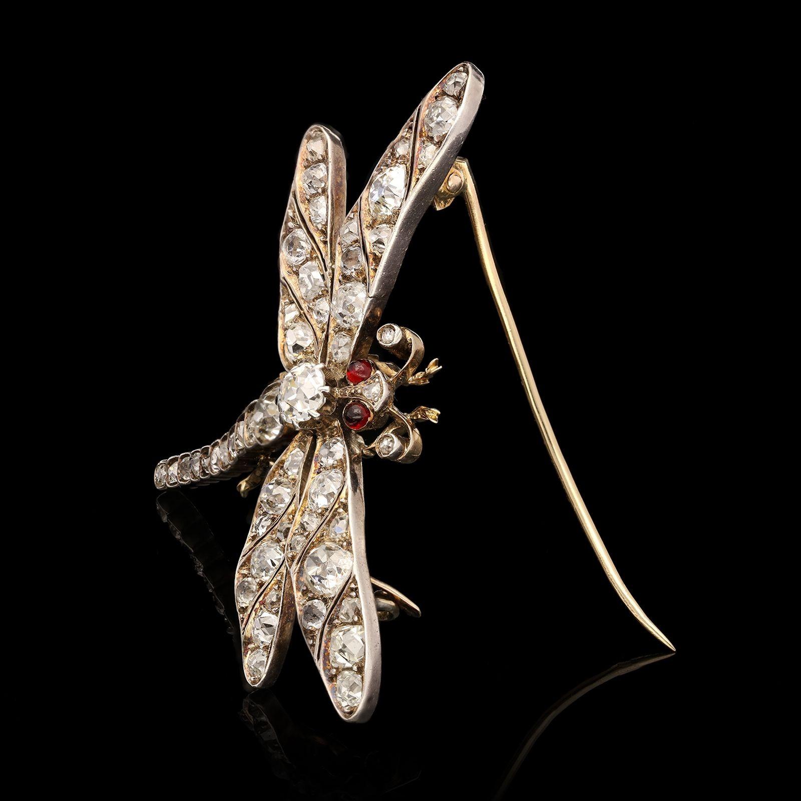 dragonfly brooch meaning