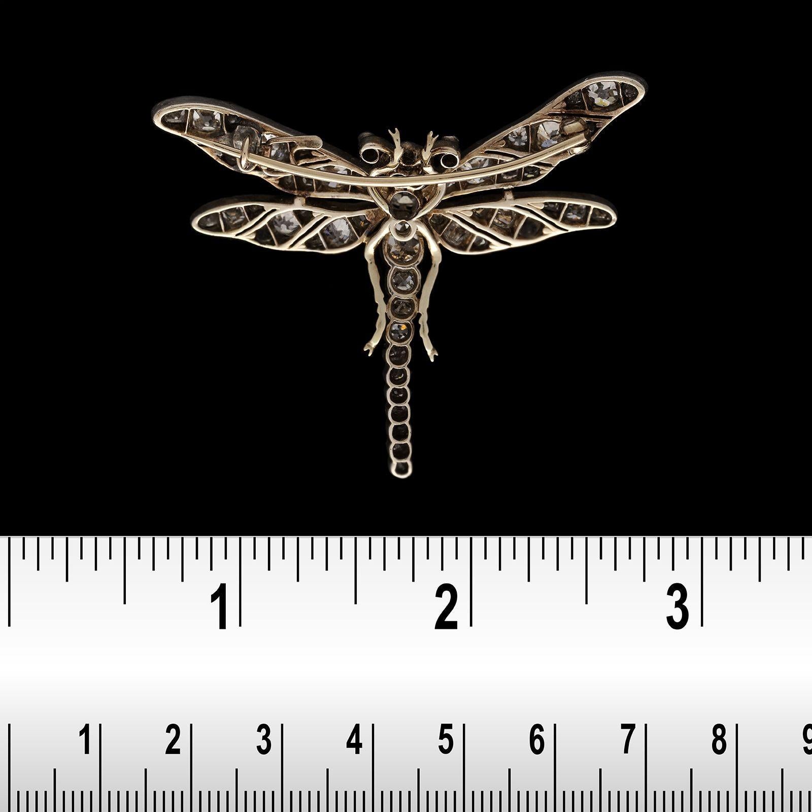 dragonfly brooch meaning