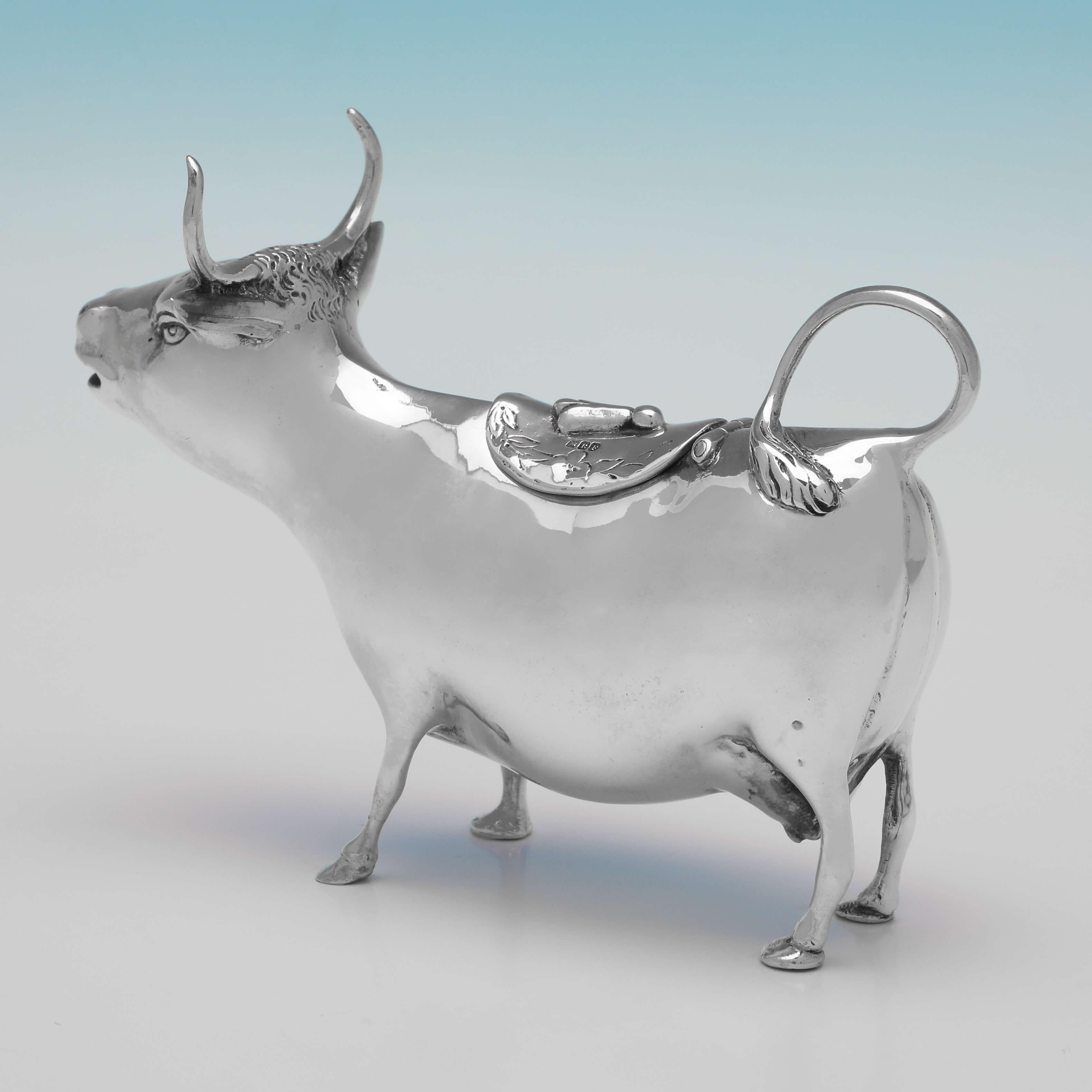 Carrying import marks for Chester in 1900 by Berthold Muller, this handsome, Victorian, Antique Sterling Silver Cow Creamer, measures 4