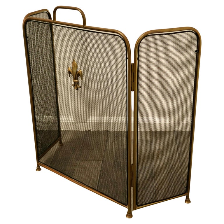 Victorian Arts and Crafts Brass Fire Guard, Spark Screen For Sale at 1stDibs