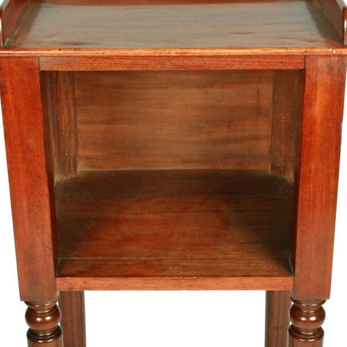 English Victorian Bedside Cabinet, 19th Century For Sale