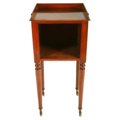 Victorian Bedside Cabinet, 19th Century