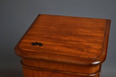 Victorian Bedside Cabinet or Pedestal