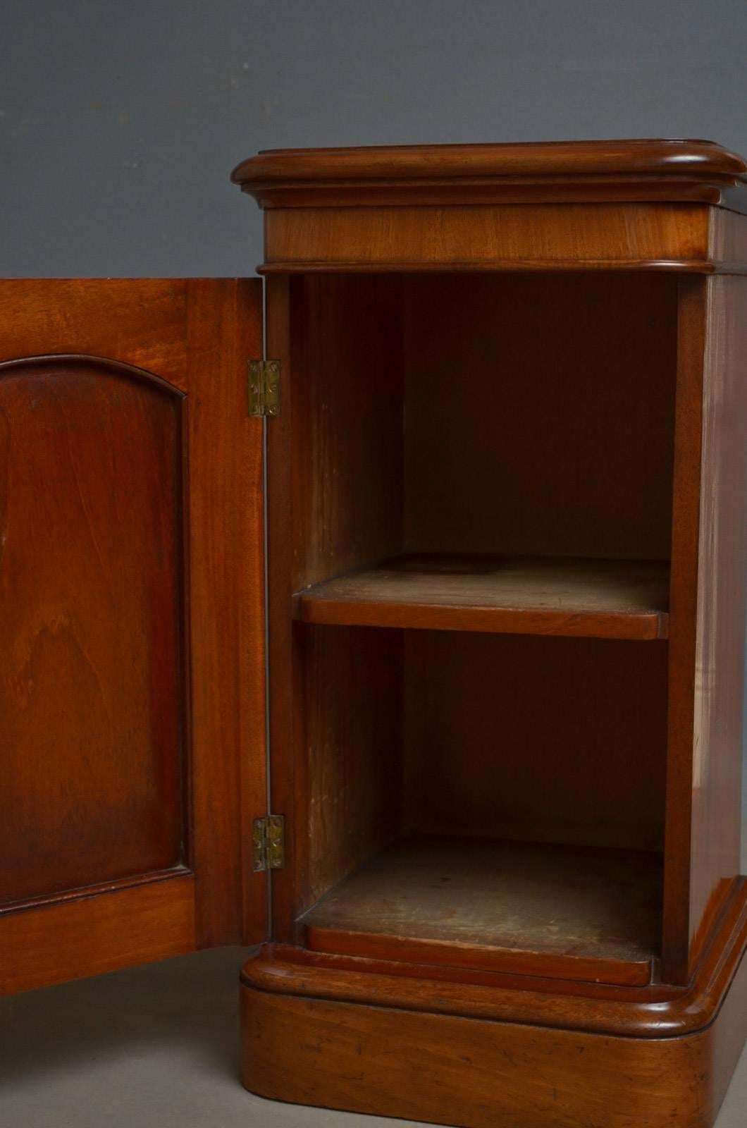 Victorian Bedside Cabinet or Pedestal In Excellent Condition In Whaley Bridge, GB