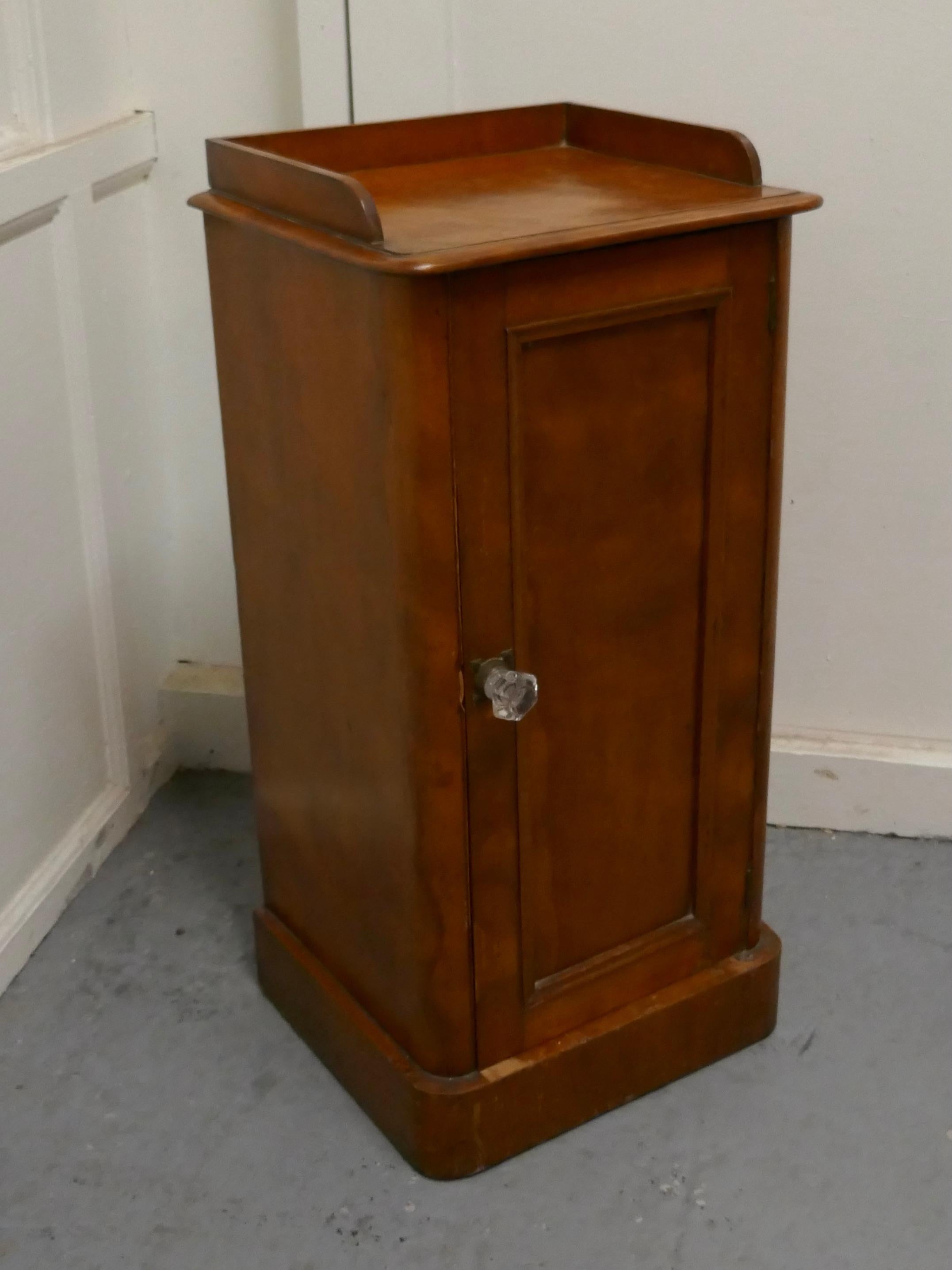 Victorian Birch Bedside Cupboard In Good Condition For Sale In Godshill, Isle of Wight