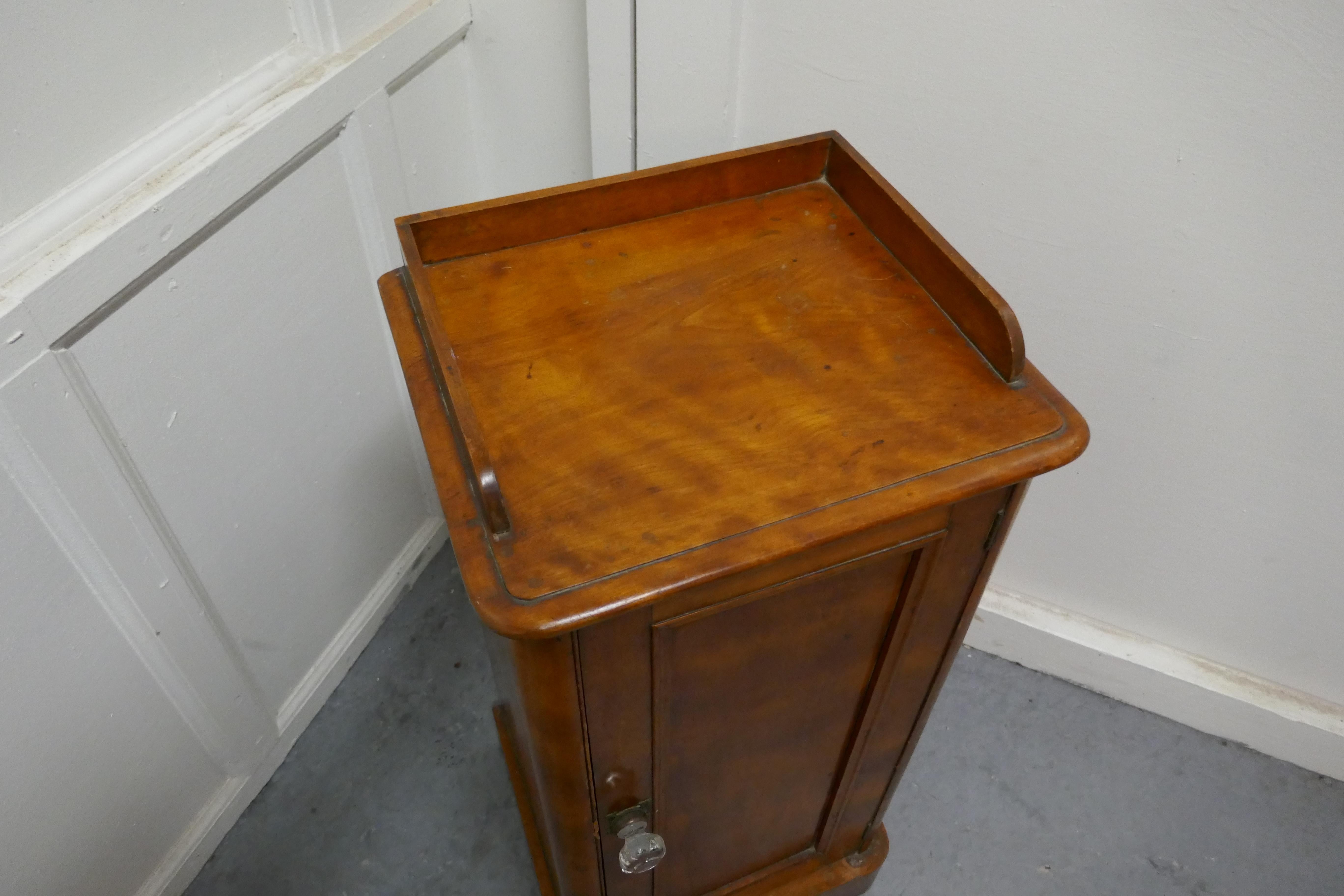 19th Century Victorian Birch Bedside Cupboard For Sale